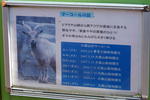 Oomoriyama_zoo_11